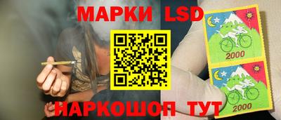 дурь Камышлов