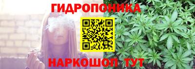 дурь Камышлов
