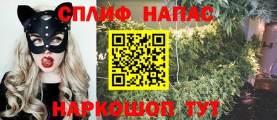 дурь Камышлов